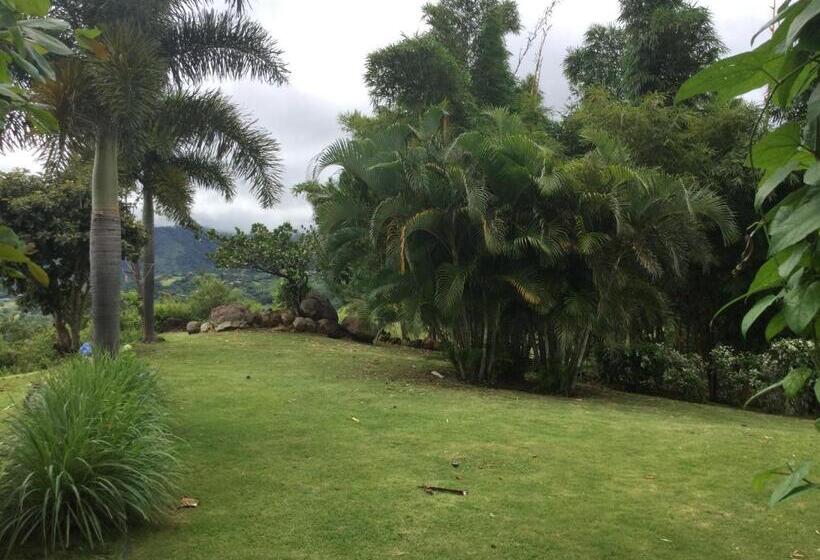 Hawk's Nest Bed & Breakfast