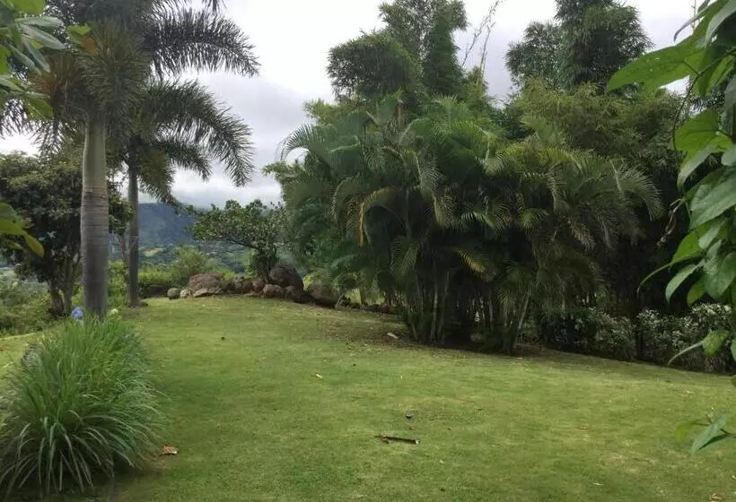 Hawk's Nest Bed & Breakfast