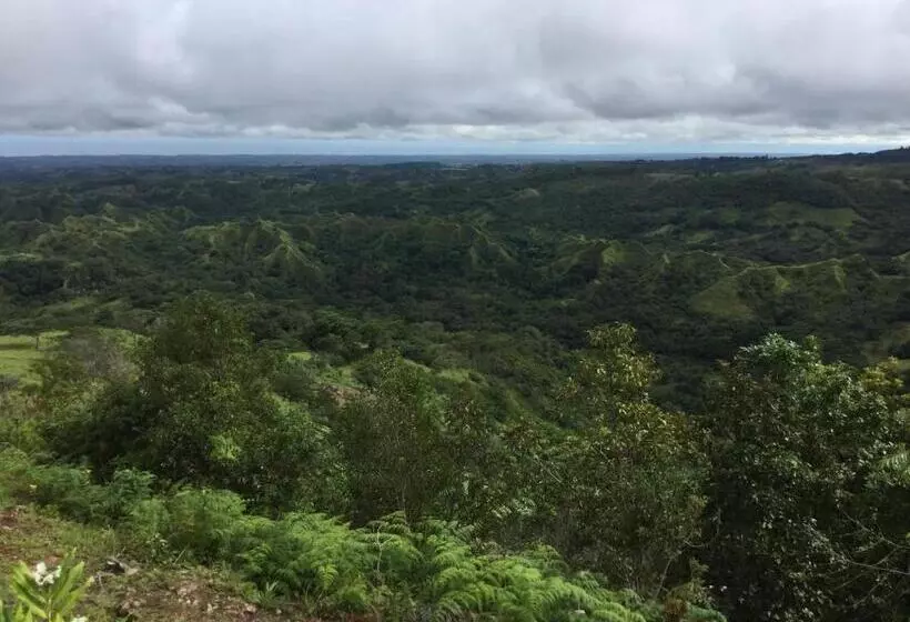 Hawk's Nest Bed & Breakfast