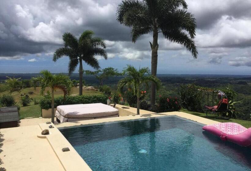 Hawk's Nest Bed & Breakfast