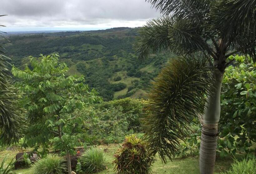 Hawk's Nest Bed & Breakfast