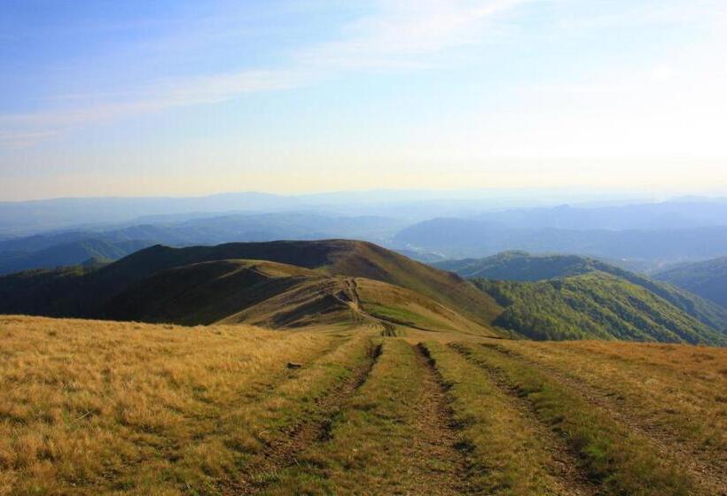 فندق Golden Palace