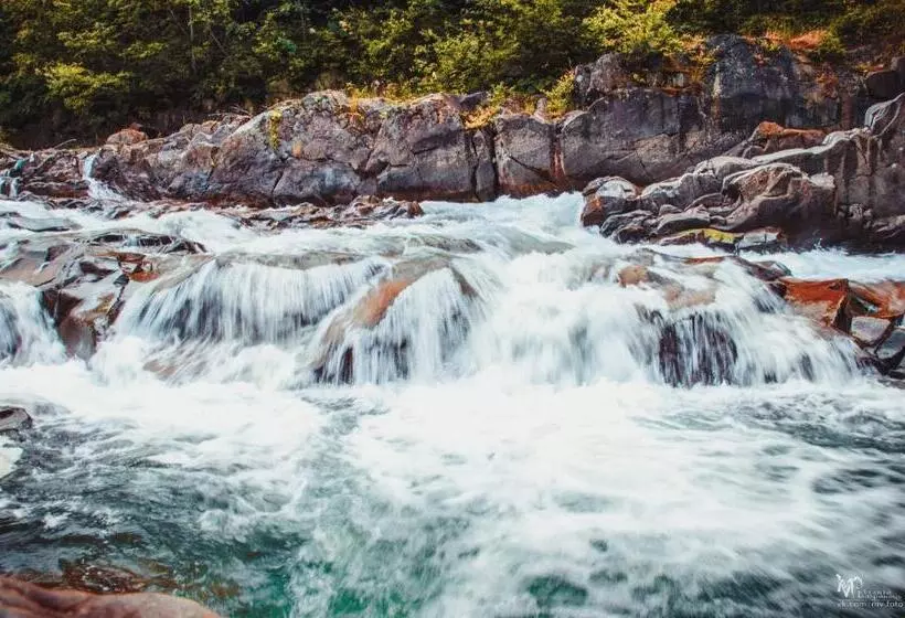 Hotelli Golden Palace