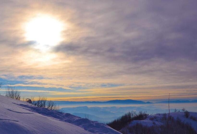 فندق Golden Palace