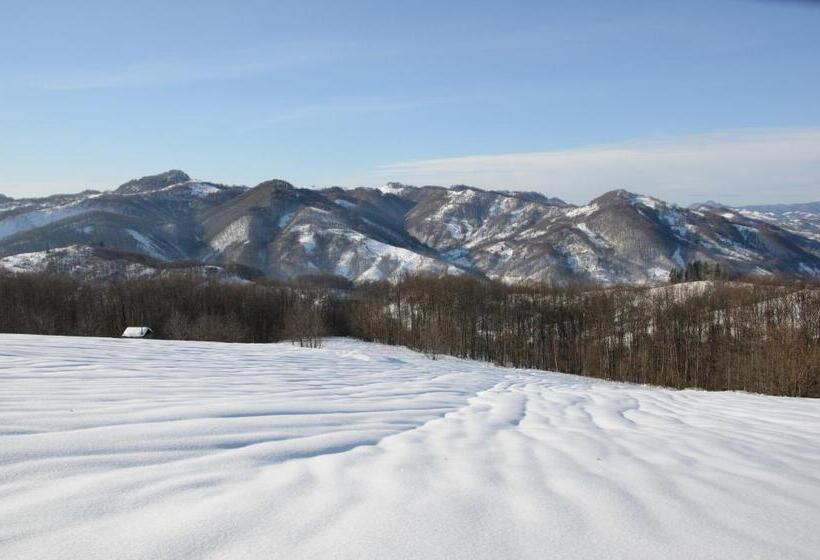 فندق Golden Palace