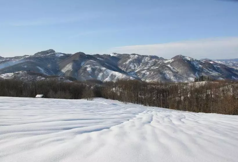 Hotelli Golden Palace