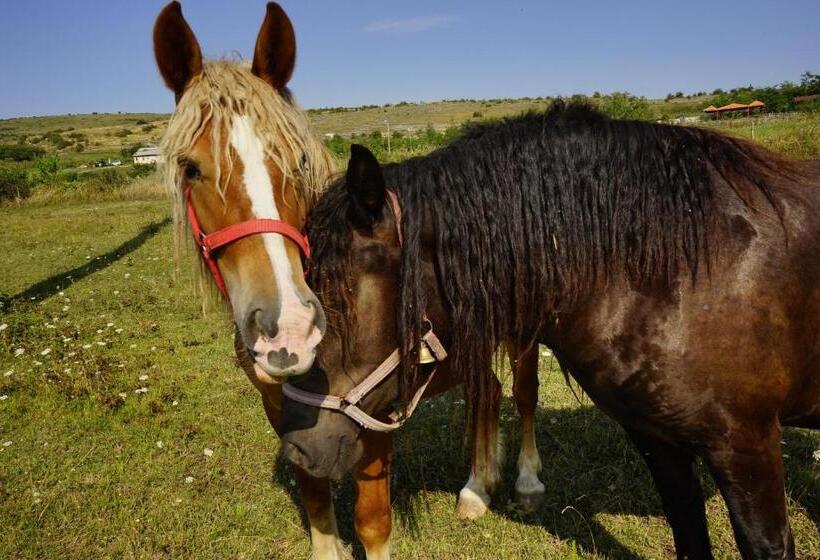 호텔 Pensiunea Cheile Apusenilor