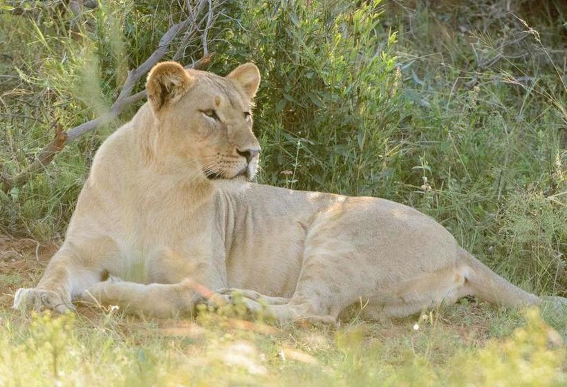 Monomotapa Village @ Legend Golf And Safari Resort