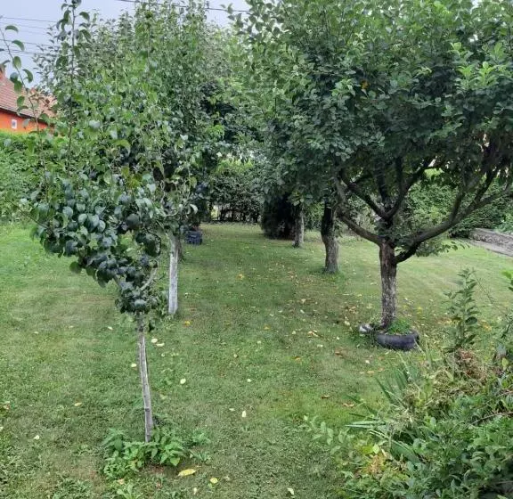 Majatalo Becze Vanda Kulcsosház