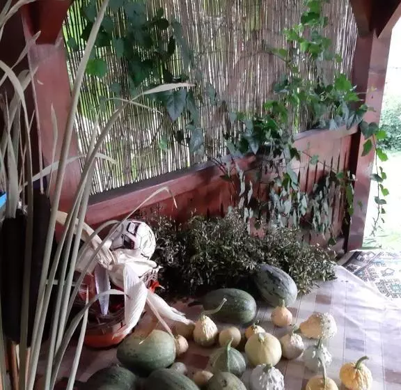 Majatalo Becze Vanda Kulcsosház