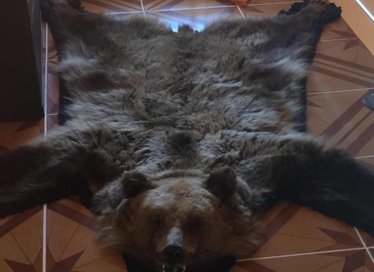 بنسيون Becze Vanda Kulcsosház