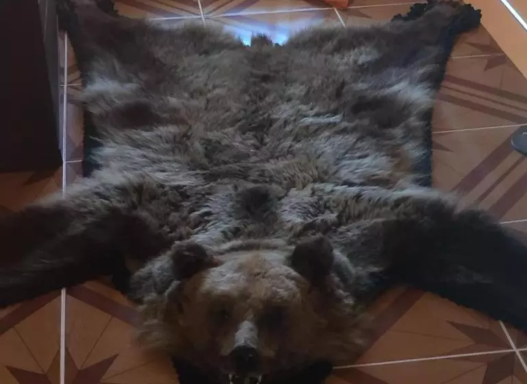 Majatalo Becze Vanda Kulcsosház