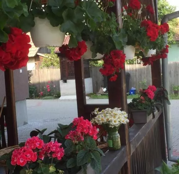 Majatalo Becze Vanda Kulcsosház