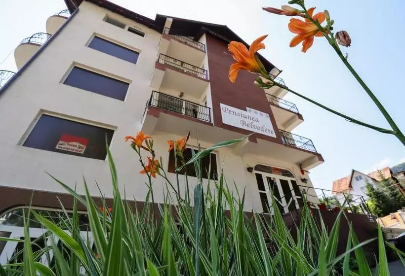 ペンション Belvedere Olanesti