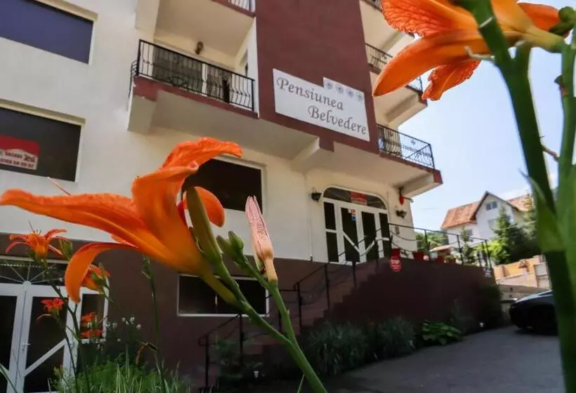 ペンション Belvedere Olanesti