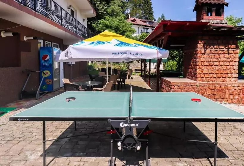 ペンション Belvedere Olanesti