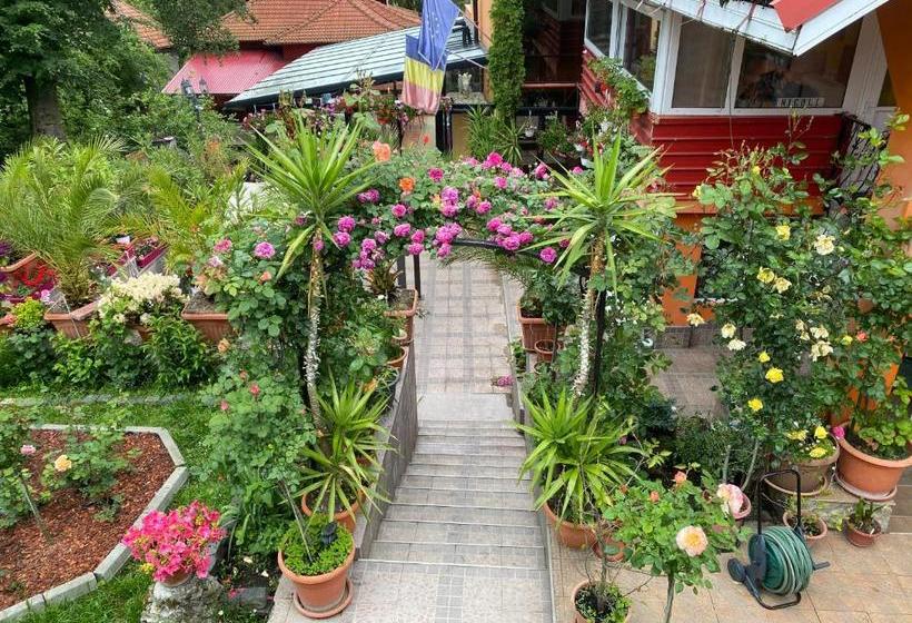 پانسیون Casa Nicoli