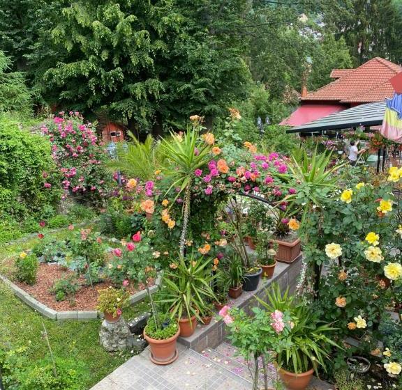 پانسیون Casa Nicoli