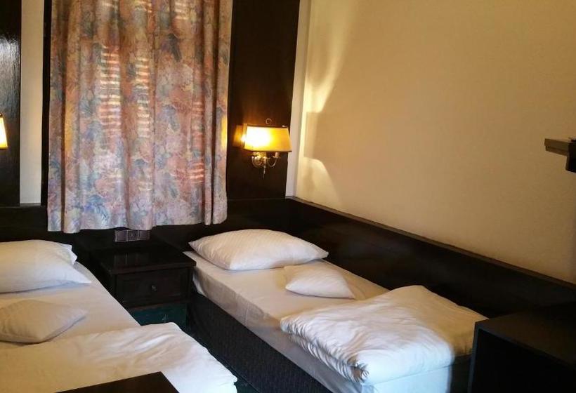 膳宿费 Conacul Balta Alba