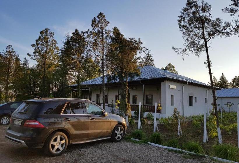 膳宿费 Conacul Balta Alba