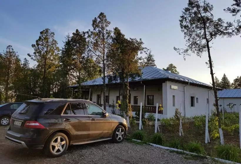 Majatalo Conacul Balta Alba