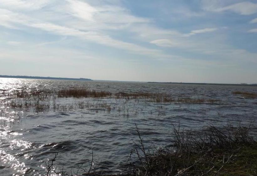 膳宿费 Conacul Balta Alba