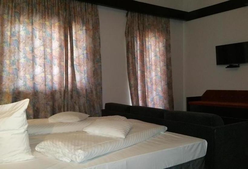 膳宿费 Conacul Balta Alba