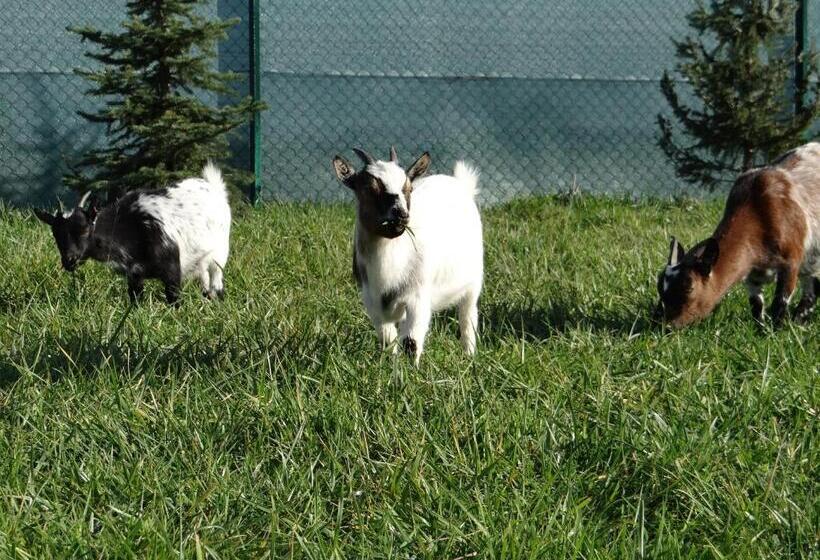 膳宿费 Rybárska Bašta A Penzión Dobys