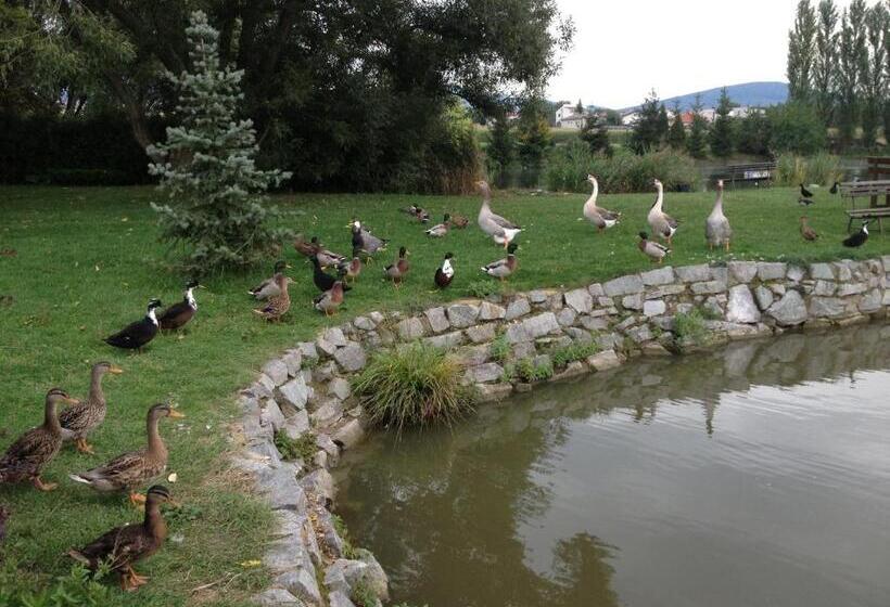 膳宿费 Rybárska Bašta A Penzión Dobys