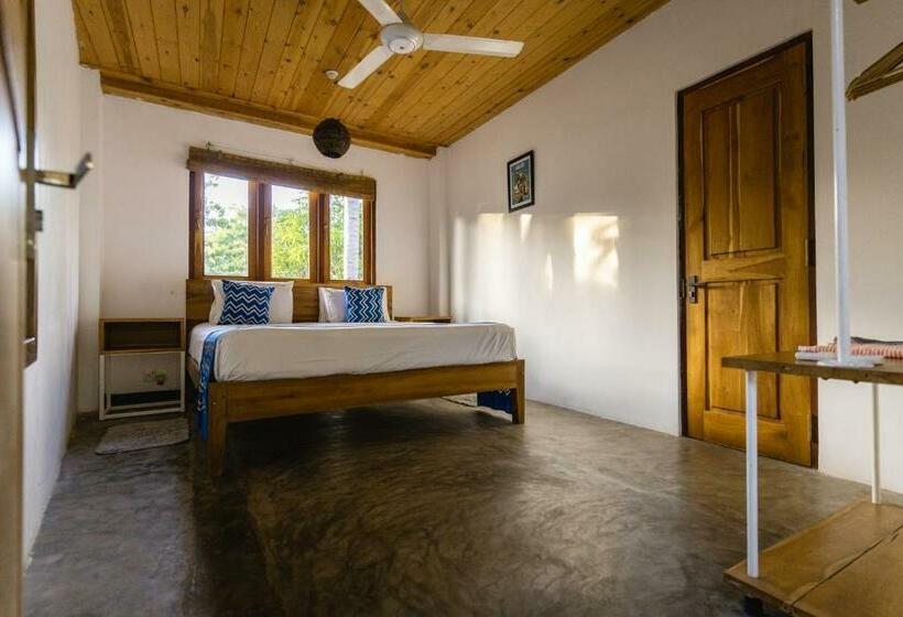 פנסיון Salt House