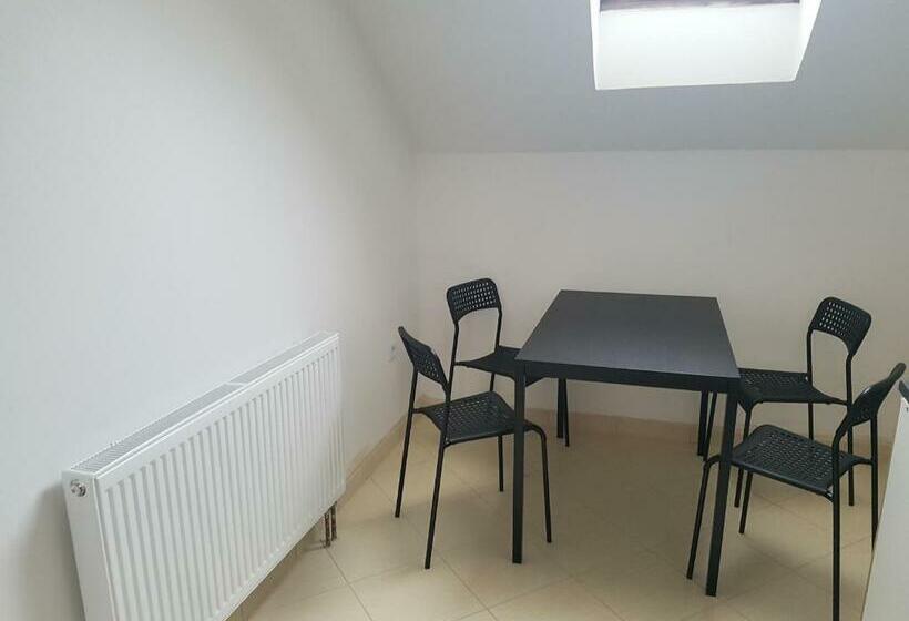 膳宿费 Ubytování žižkova Pacov