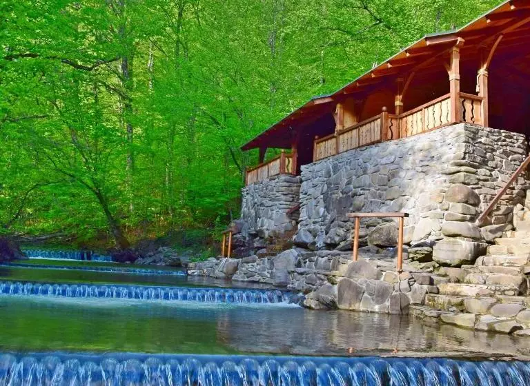 Majatalo Zelena Sadyba