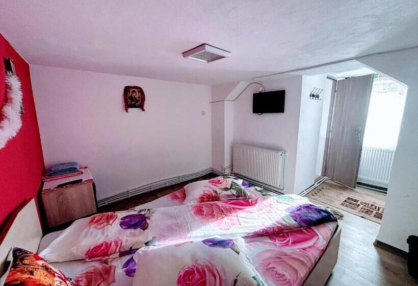 Pensjonat Casa Andreea