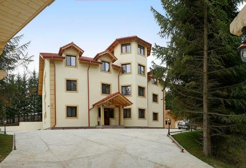 Pensiunea Floarea De Colt