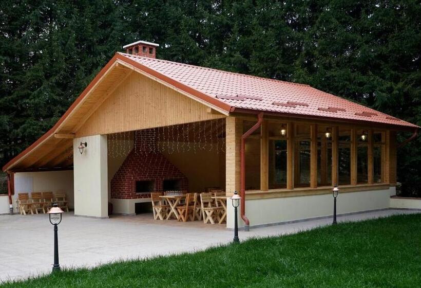 Pensiunea Floarea De Colt