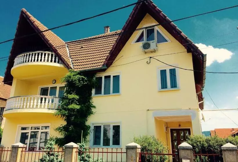 Pensiunea Vila Silva I