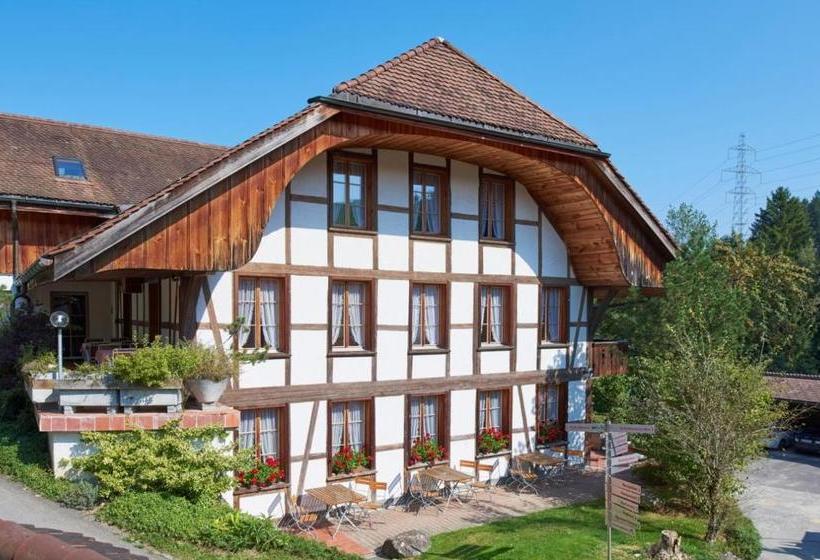 Отель Appenberg