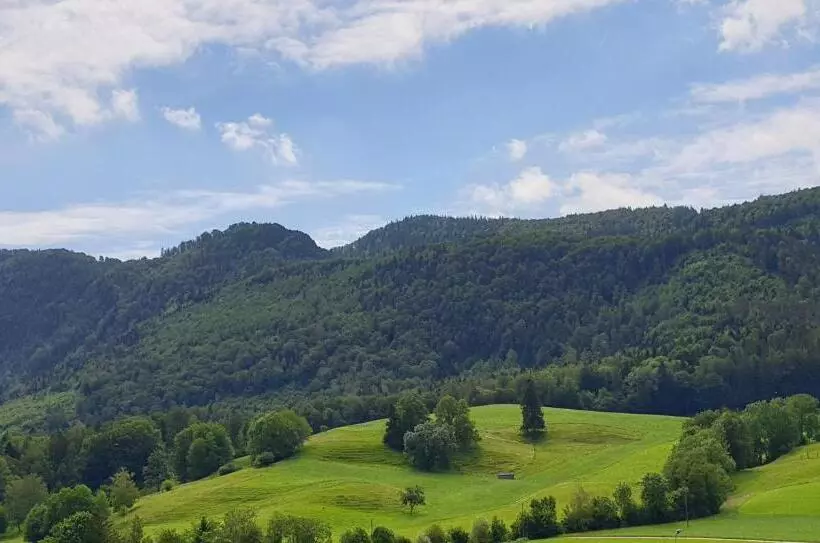 Hotelli Gasthof Kreuz