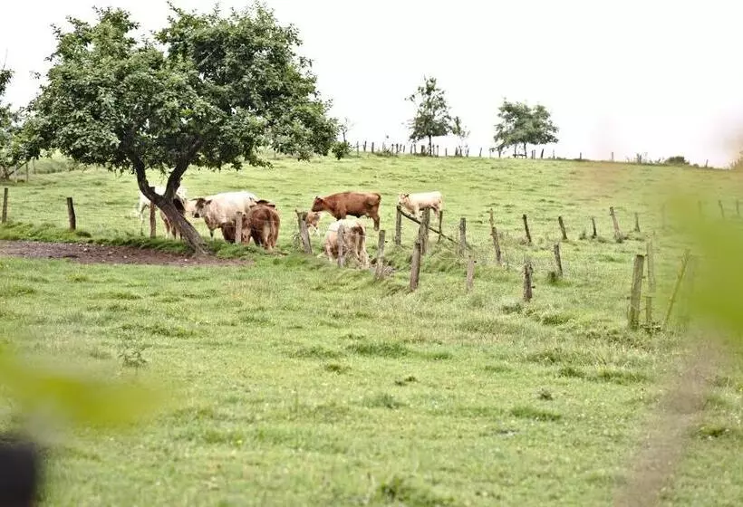 Hotelli Restaurant Im Heisterholz