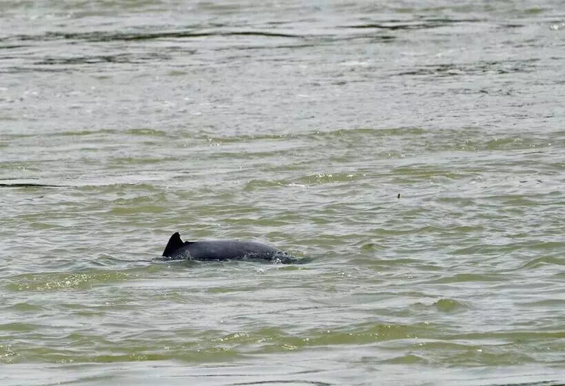 Hotelli Senesothxuene