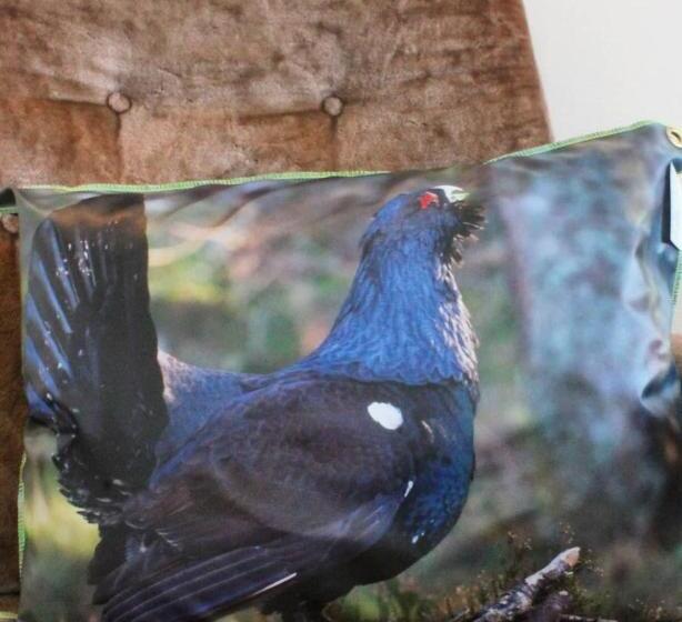 Järjagården Hostel