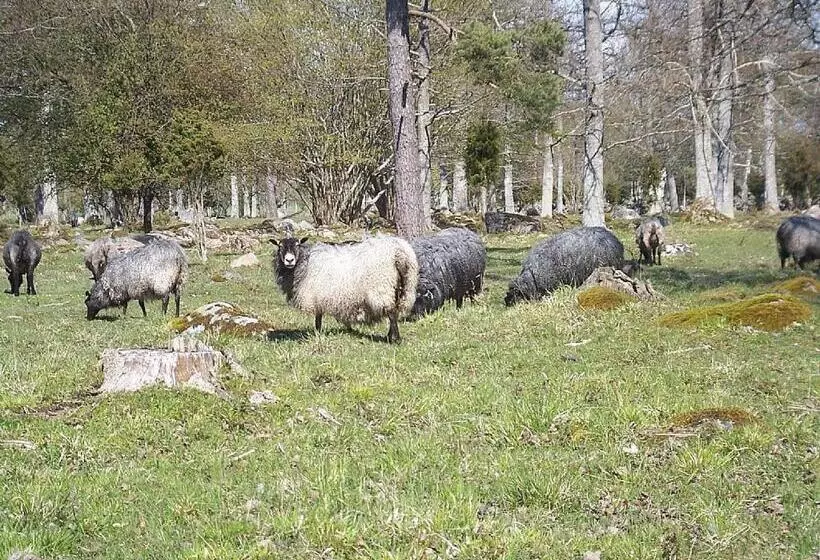 änggårde B&b
