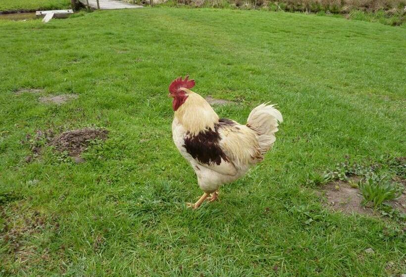 פנסיון Landgasthaus Am Frauenstein