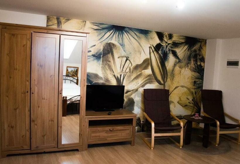 膳宿费 Penzion Adriana