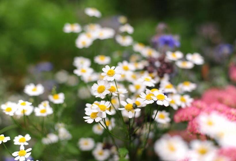 بنسيون & Restaurant Lengefelder Warte