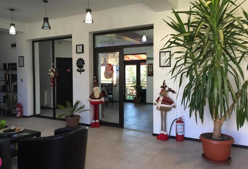 פנסיון Vila Ozon