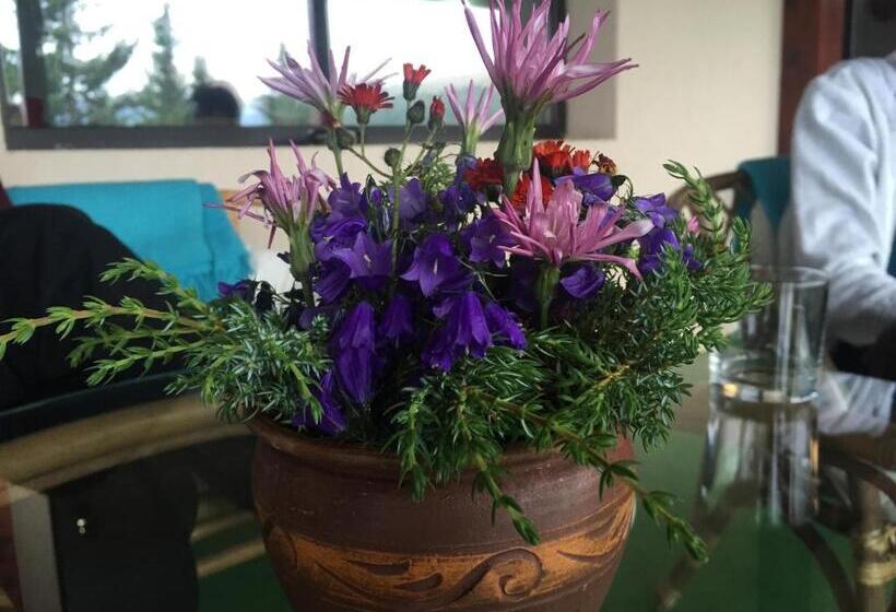 פנסיון Vila Ozon