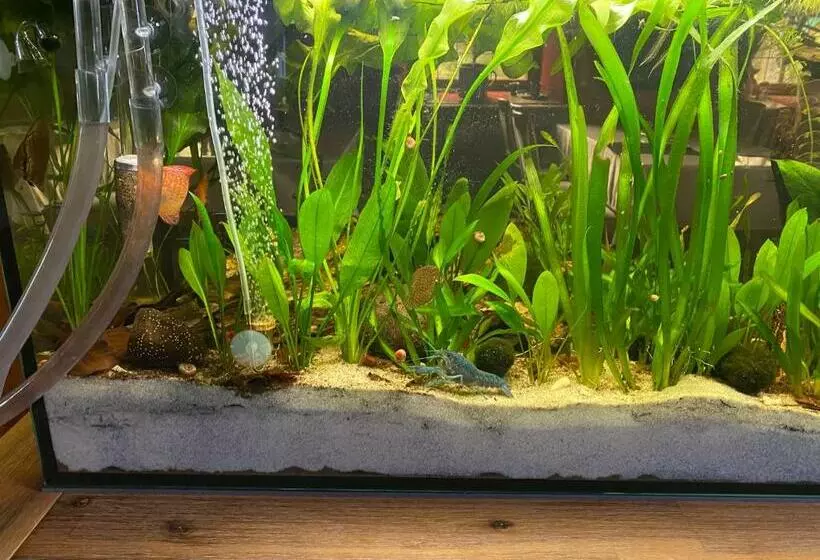 Waldhotel Zöbischhaus