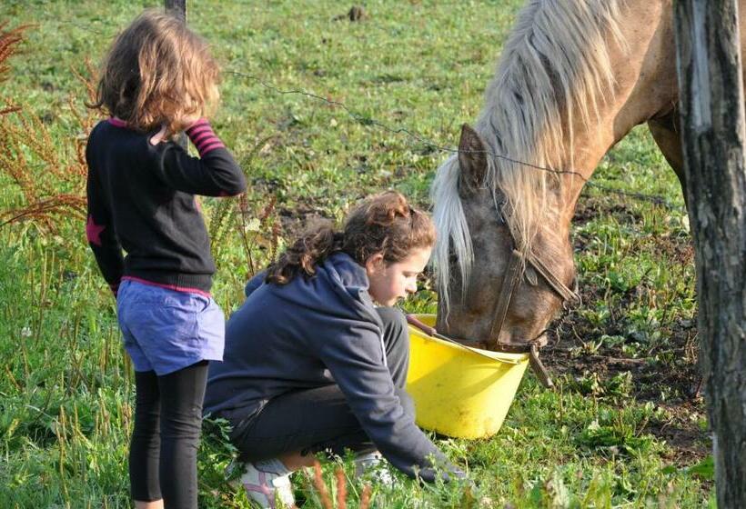 ユースホステル Auberge Le Sillet