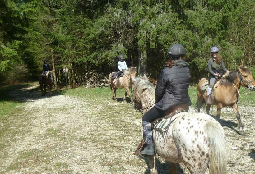 ユースホステル Auberge Le Sillet